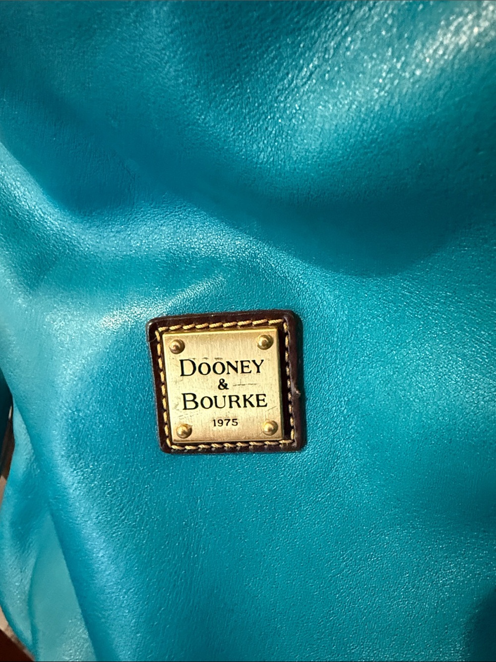 Dooney & Bourke Teal Leather Hobo Bag Teagan purse designer suede DB turquoise - Picture 4 of 11